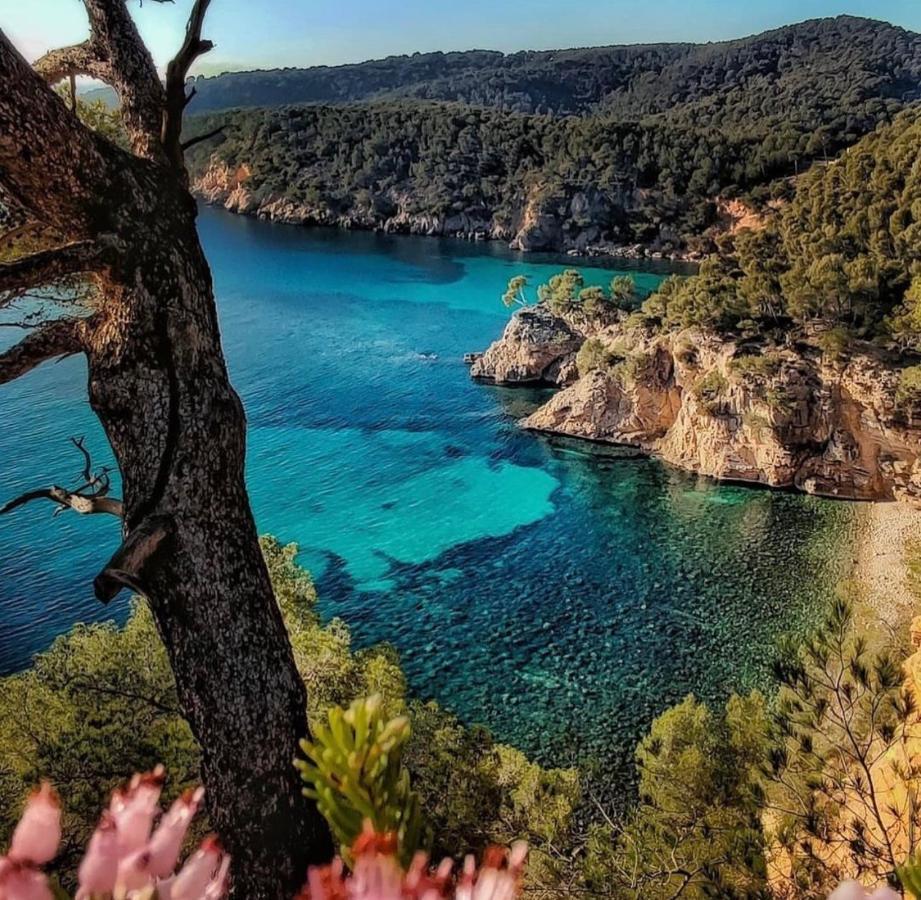 Logement Vue Mer Splendide - Situe A 50 Metres Du Bord De Mer Et 2 Minutes Des Plages - Bandolina Exterior photo