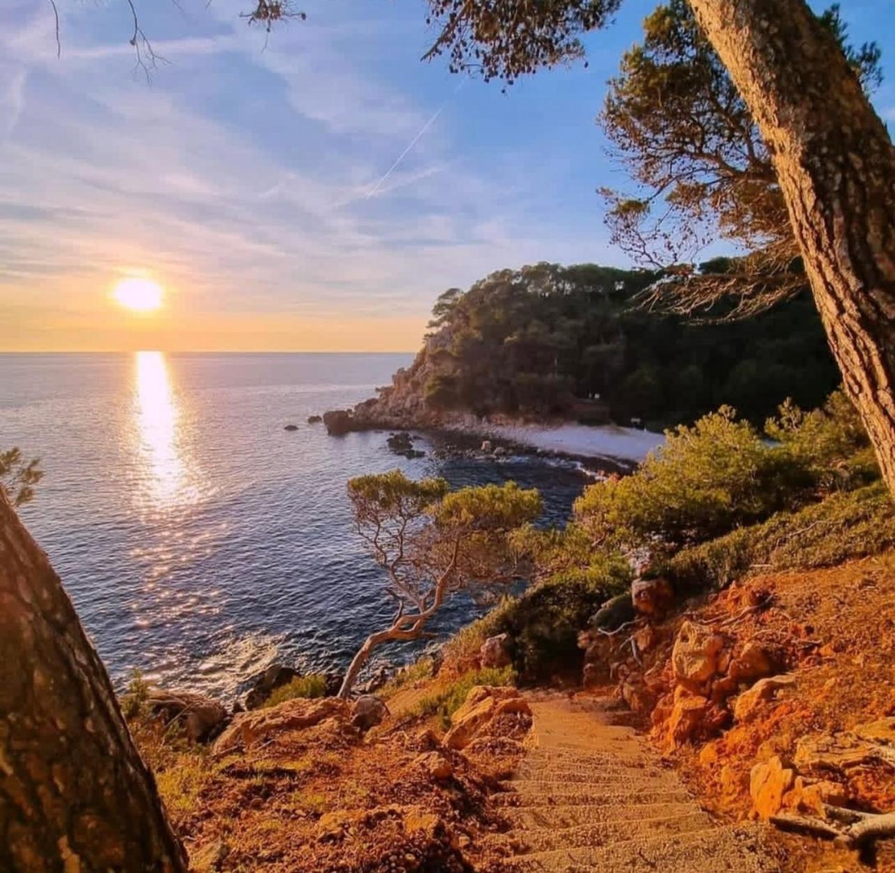 Logement Vue Mer Splendide - Situe A 50 Metres Du Bord De Mer Et 2 Minutes Des Plages - Bandolina Exterior photo